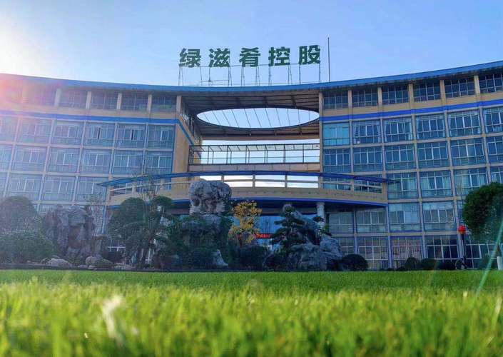 绿滋肴控股集团 深耕信息咨询服务，赋能多元产业生态